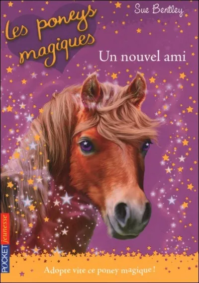 Quel est le poney, héros dans le livre "Les poneys magiques" ?