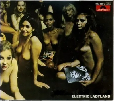 Quel groupe est l'auteur de ce disque ?