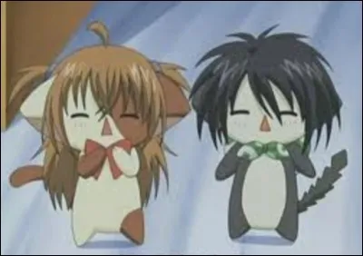 Tu pr&eacute;f&egrave;res...