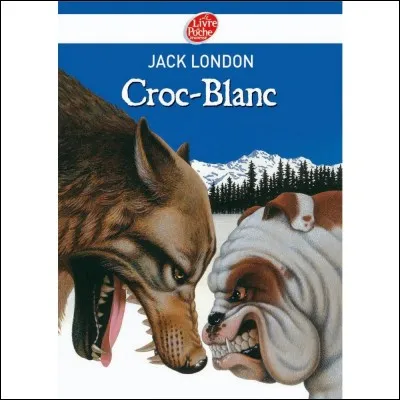 Bon, étant finalement vendu, Croc-Blanc va connaître le combat et la rage. Son nouveau maître le fera combattre contre d'autres chiens. Croc-Blanc sortira vainqueur à chaque fois. Mais un chien va le battre. Quel est son nom ?