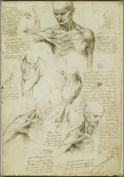 Qui a rédigé une collection d'écrits scientifiques intitulés Codex Leicester ?