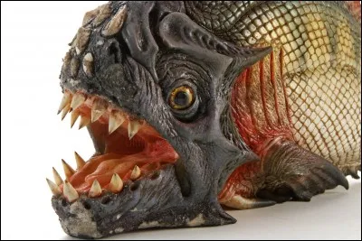 Quel est ce poisson ?