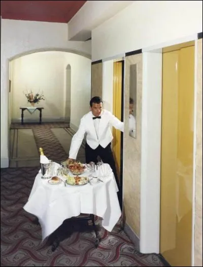 Je peux être appelé à toute heure, surtout dans les lieux luxueux dans lesquels j'exerce mon métier. Quel est ce métier ?