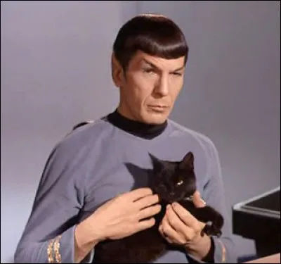 Je suis Monsieur Spock, mi-humain, mi-vulcain, et mon métier est à responsabilités (je n'ai pas toujours un chat dans les bras). Quel est ce métier ?