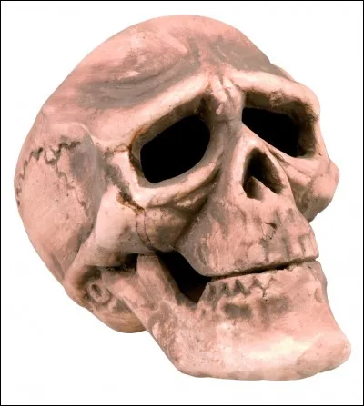 L'un de tes camarades meurt.