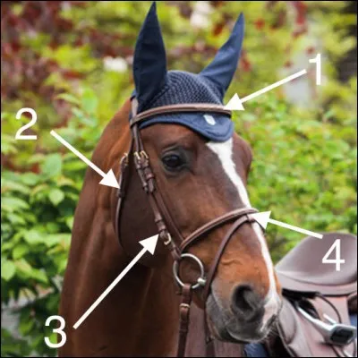 Comment s'appelle la partie n°3 ?