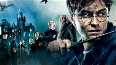 Qui pr&eacute;f&egrave;res-tu dans "Harry Potter" parmi ces choix ?
