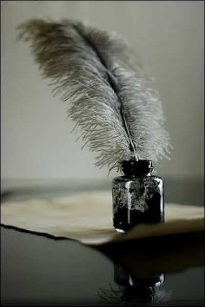 Où peut-on suivre les aventures de Mohawks ?