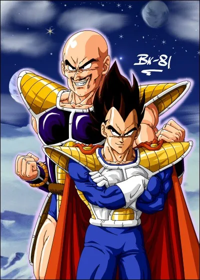 De qui est accompagné Vegeta lors de sa première apparition ?