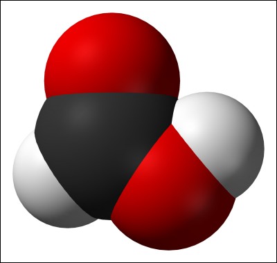 L'acide méthanoïque, parce qu'il a été découvert en premier dans les glandes des fourmis, porte le nom de/d'...