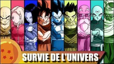 Dans l'arc "Tournoi du pouvoir", qui est le capitaine de l'Univers 7 ?