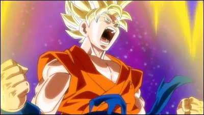 Toujours dans le tournoi "Univers 7 vs Univers 6", qui a réussi a sortir Gokû ?