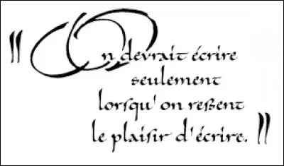 Mon seul but est d'écrire en manifestant le plus grand soin et avec la volonté d'exprimer une esthétique.