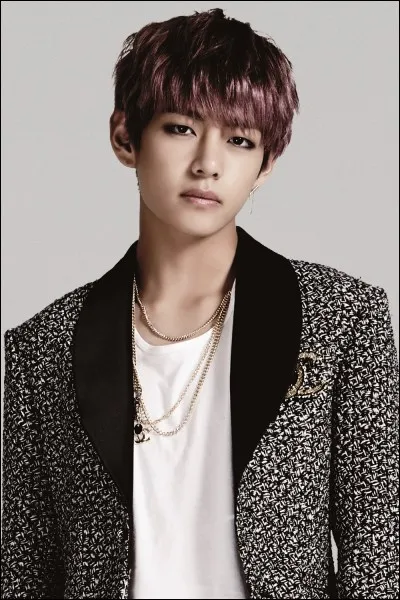 (V) - Son meilleur animal est ...