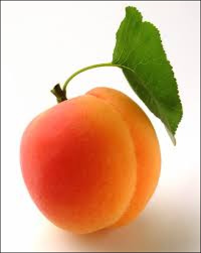 Quelle est la couleur d'un abricot ?