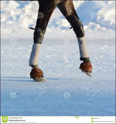 A quoi sert de doucher les membres ?