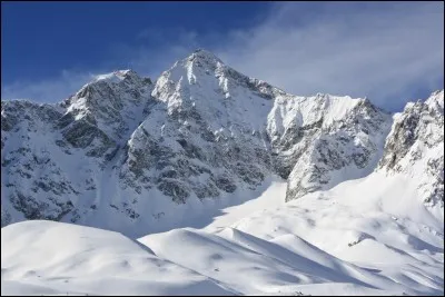 Quel fleur pousse dans la neige ?