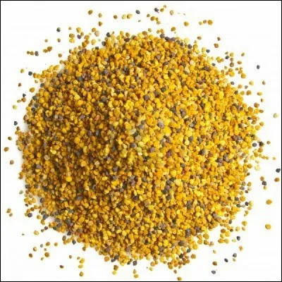 Dans quelle partie se trouve le pollen ?