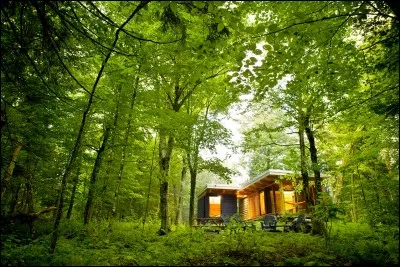 Comment s'appelle la science des végétaux ?