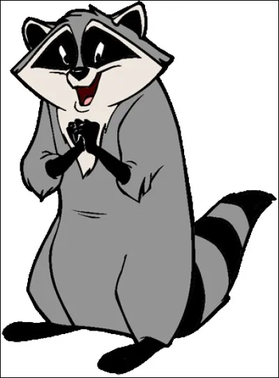 Qui est ce mignon petit raton-laveur ?