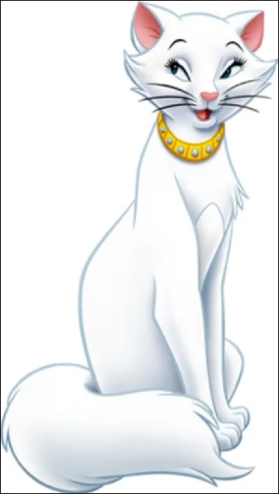 Qui est cet autre chat ?