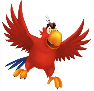 Quel est le nom de ce perroquet ?