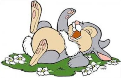 Qui est ce lapin si mignon ?