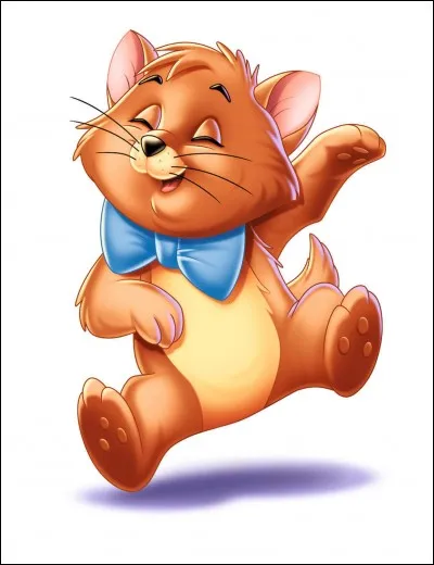 Qui est cet adorable chat ?