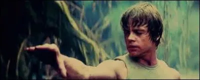 Lequel de ces pouvoirs de la Force n'existe pas ?