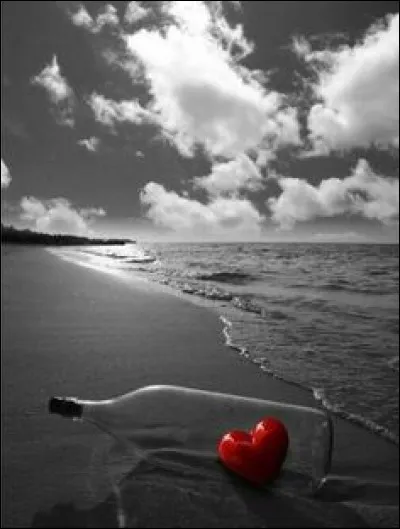 Qui chantait "Son doux visage qui me souriait, puis il a plu sur cette plage, dans cet orage..." ?