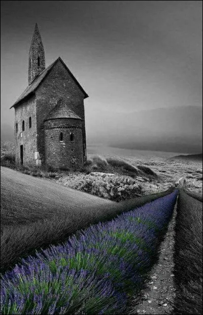 Complétez les paroles de Charles Trénet : "Douce France...."