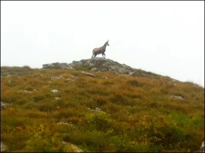 Quel est le point culminant du Jura ?