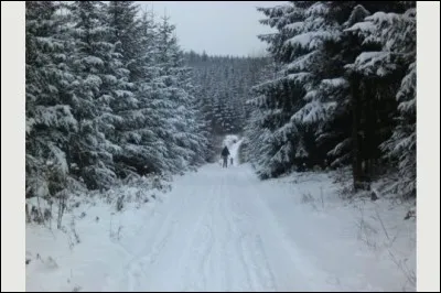 Le point culminant du Massif ardennais est-il situé en France ?