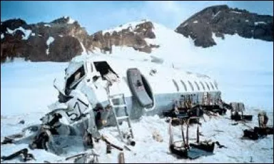 Tu es victime d'un crash d'avion dans la montagne et tu fais partie des quelques survivants. Que fais-tu ?