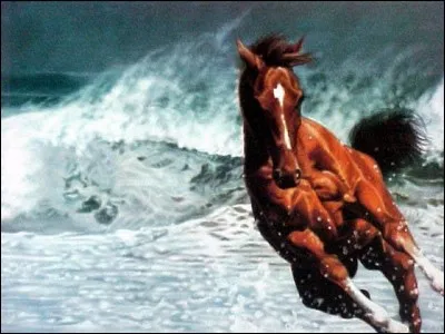 Pour finir : à quelle vitesse peut aller ce mammifère au galop ?