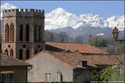 En quoi était la chèvre que l'on voyait à Saint-Lizier dans l'Ariège ?
