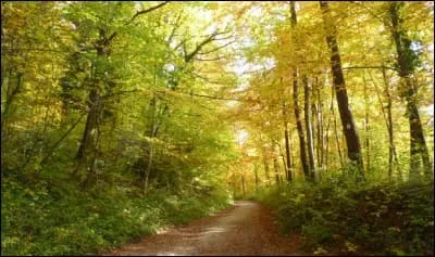 La dame qui errait dans la forêt de Hasenberg, dans le Haut-Rhin, veillait sur un fruit, lequel ?