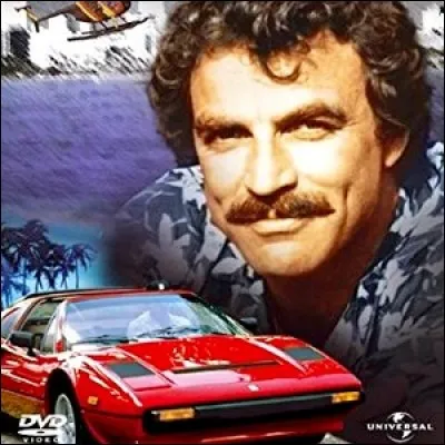 "Magnum" : Quels noms portent les Doberman de Higgins ?