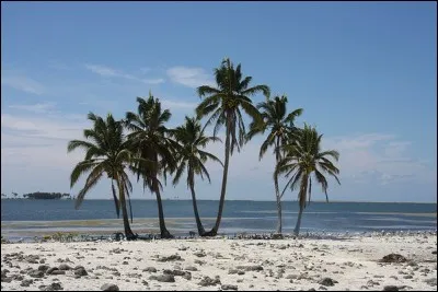 Où se situe le lagon de l'île de Clipperton ?