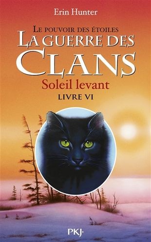 Quiz La guerre des clans