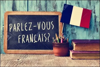 Quelle langue préférez-vous ?