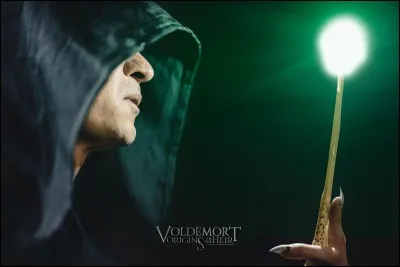 À qui James Potter écrit-il une lettre juste avant sa mort ?