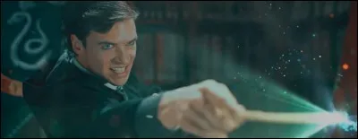 De quelle maison vient celle qui nous dévoile toute l'intrigue du fanfilm ?