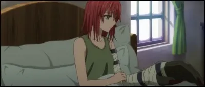 De quel type est la malédiction de Chise ?