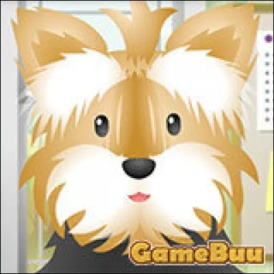 Quel animal est absent de ''Pet Grooming Studio'' ?