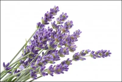 À ne pas confondre !