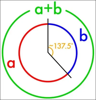 Cet angle est ______.