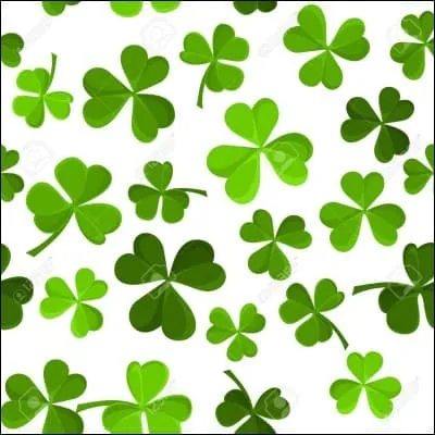 Tu as vraiment de la ______.