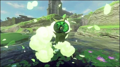 Combien y a-t-il de noix Korogus dans le jeu ?