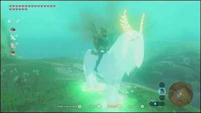 Où se situe l'Alpha, le cheval lumineux ?